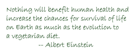 einstein quote